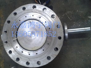 品牌 生產(chǎn)供應(yīng)商廠家 今日行情價格走勢 永嘉縣江北鴻宇閥門廠